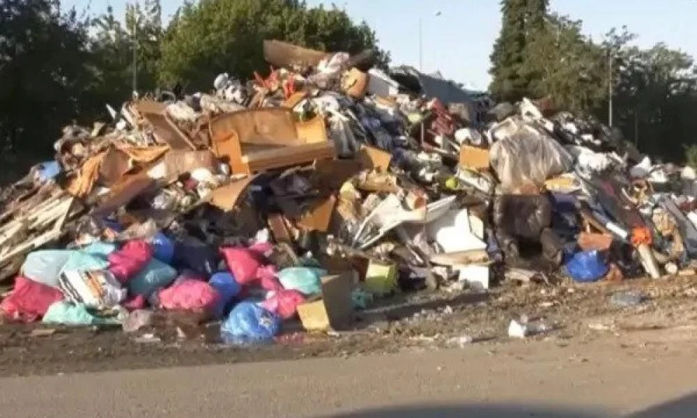 Υγειονομική «βόμβα» στον Παλαμά Καρδίτσας: Σαπισμένες οικοσκευές και σωροί νεκρών ζώων στους δρόμους